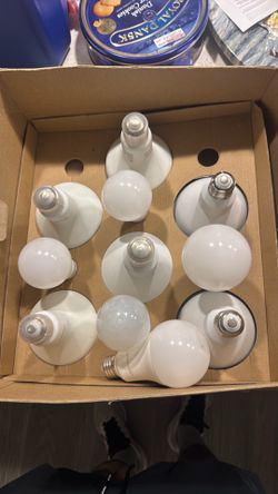 Light bulbs