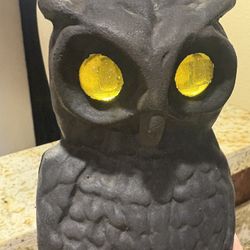 Fireplace Cast Iron Owls With Glass Eyes