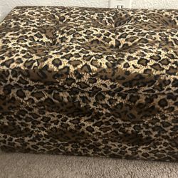 Cheetah Print Storage 