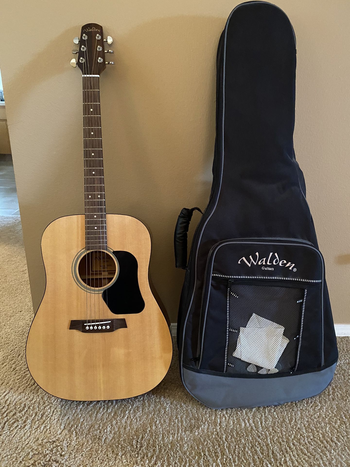 D351 Acoustic Guitar Walden With Gig Bag