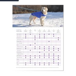 Dog Rain Jacket Coat like new XL