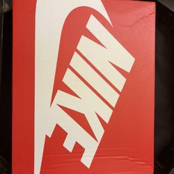 Nike Dunk Low ( Girl Shoes)