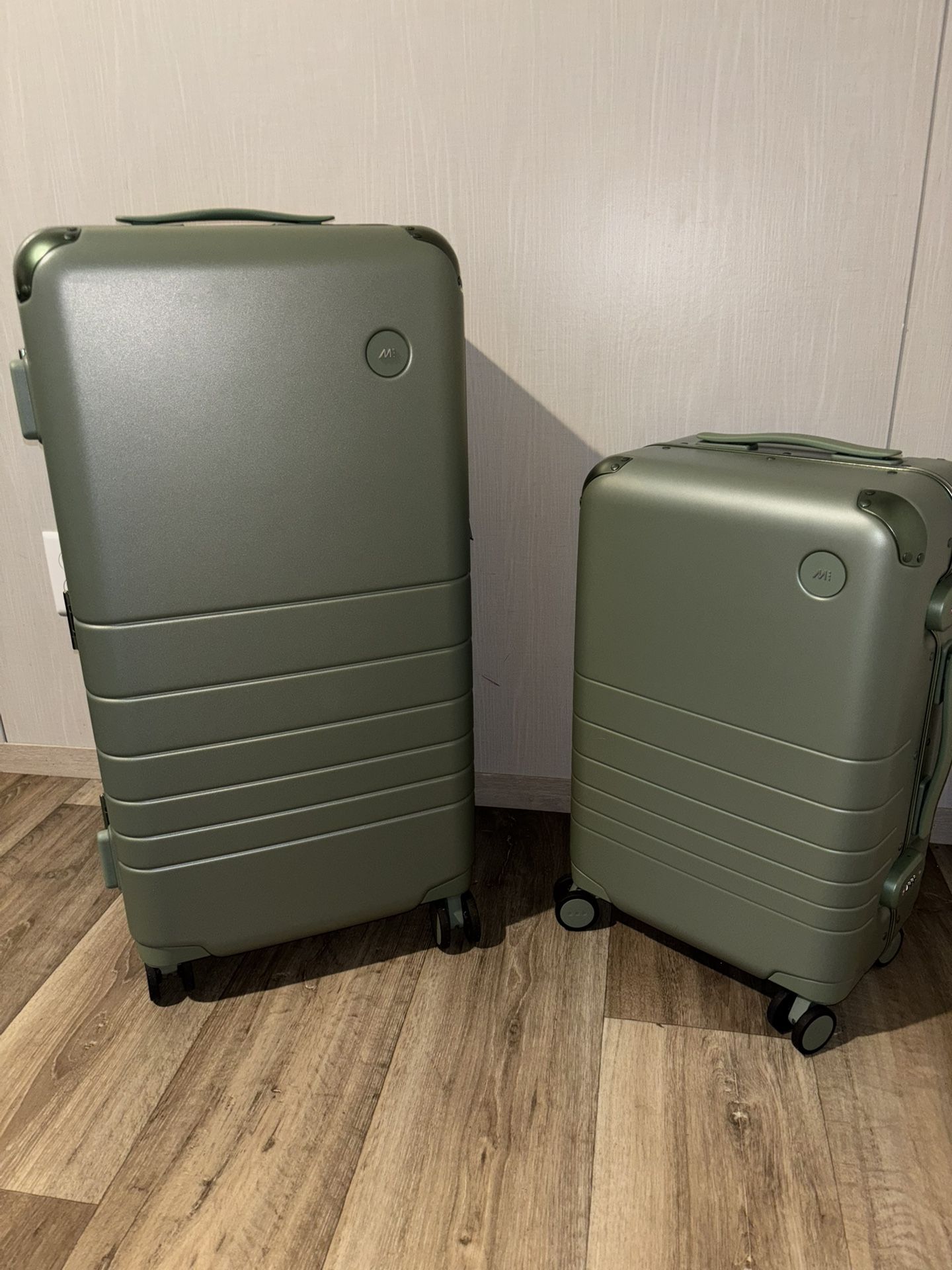 Olive Green 2-Piece Mono Luggage Set