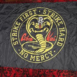 Cobra Kai Poster