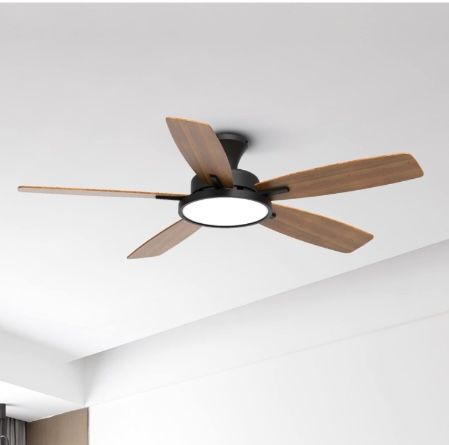 Ceiling Fan