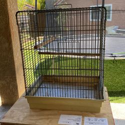 Bird Cage