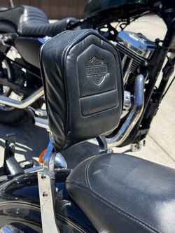 OEM DYNA SISSY BAR PAD AND MOUNTING BRACKETS