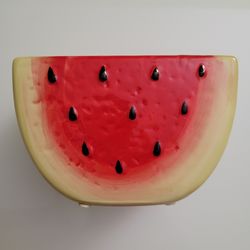 Red and Green Cute Watermelon Planter Pot