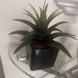 Gorgeous mini palm Tree Look - Brand New Ceramic 