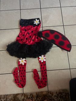 Women Ladybug costume