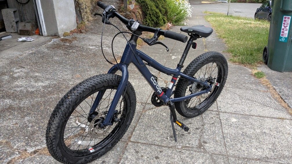 REI Co-op Cycles REV 20 6-speed Plus Kids Mountain Bike