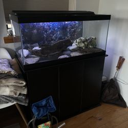 Aquarium tank with Cabinet Storage space, pump and additional accessories for sale 