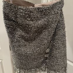 Beautiful Shiny Skirt XSmall Skirt 
