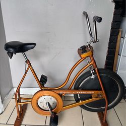 Vintage Schwinn Exerciser Stationary Bike – Retro Bronze