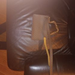 Brown MK Clutch/FANNY