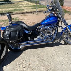 2007 Softail Standard 