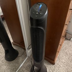 Fan