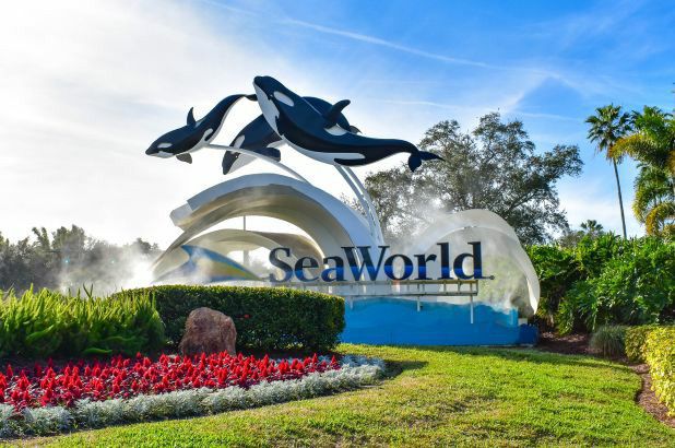 Seaworld Florida tickets