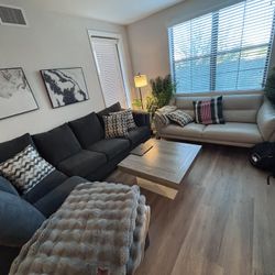 Selling Both Couches