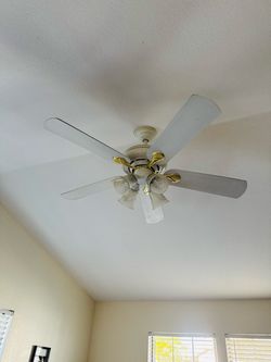 Hampton Bay Ceiling Fan with Remote and Lights