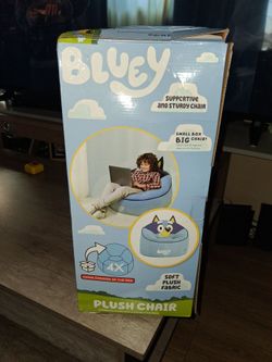 Plush chair