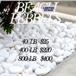 White Egg Beach Pebbles River Rocks Blowout Sale 
