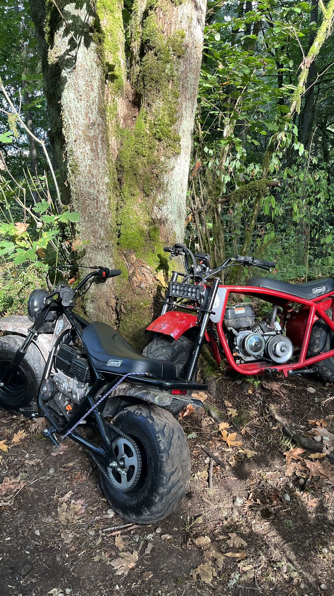 Coleman Mini Bike
