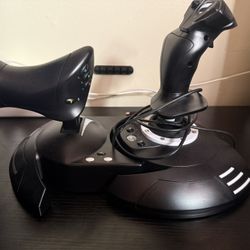 Thrustmaster Joystick