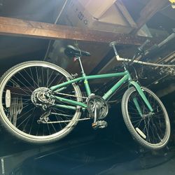 REI brand Kid’s 24” City Bike