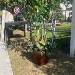 Artificial plant, price is always negotiable