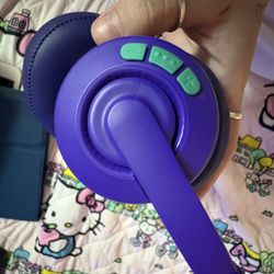 Skull candy Evo Cassette Headphones