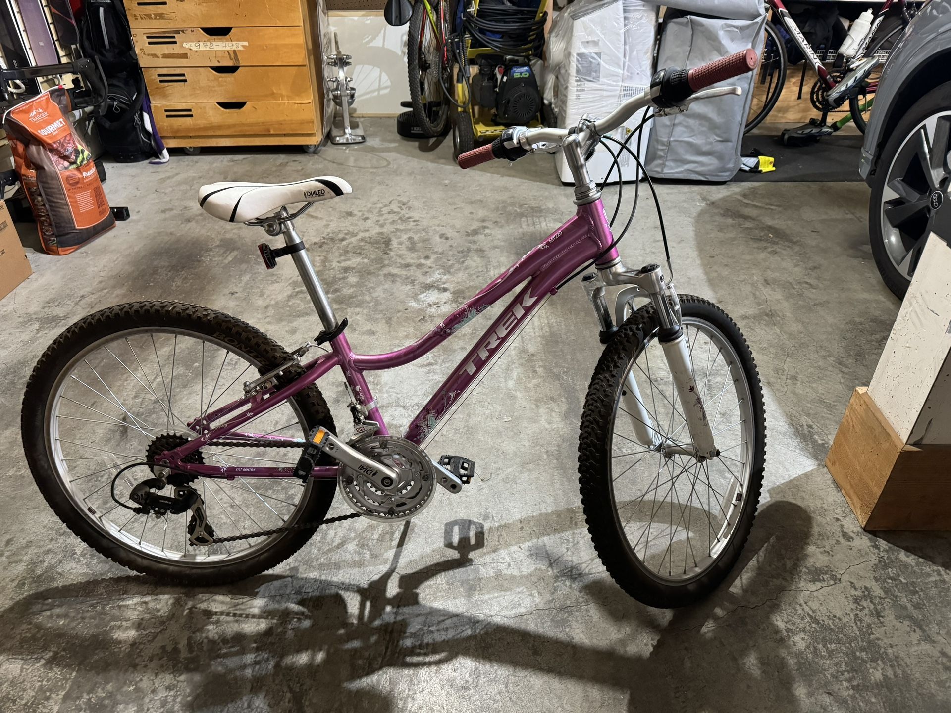 Trek 24” Girls Bike