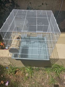 Bird Cage