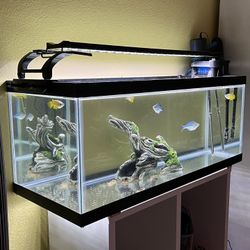 20g Long  Aqueon Fish Tank 