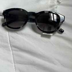Sunglasses 