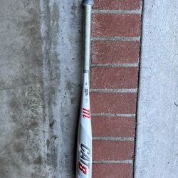 Cat 8 Baseball Bat 31in 23oz