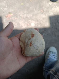 Fossil