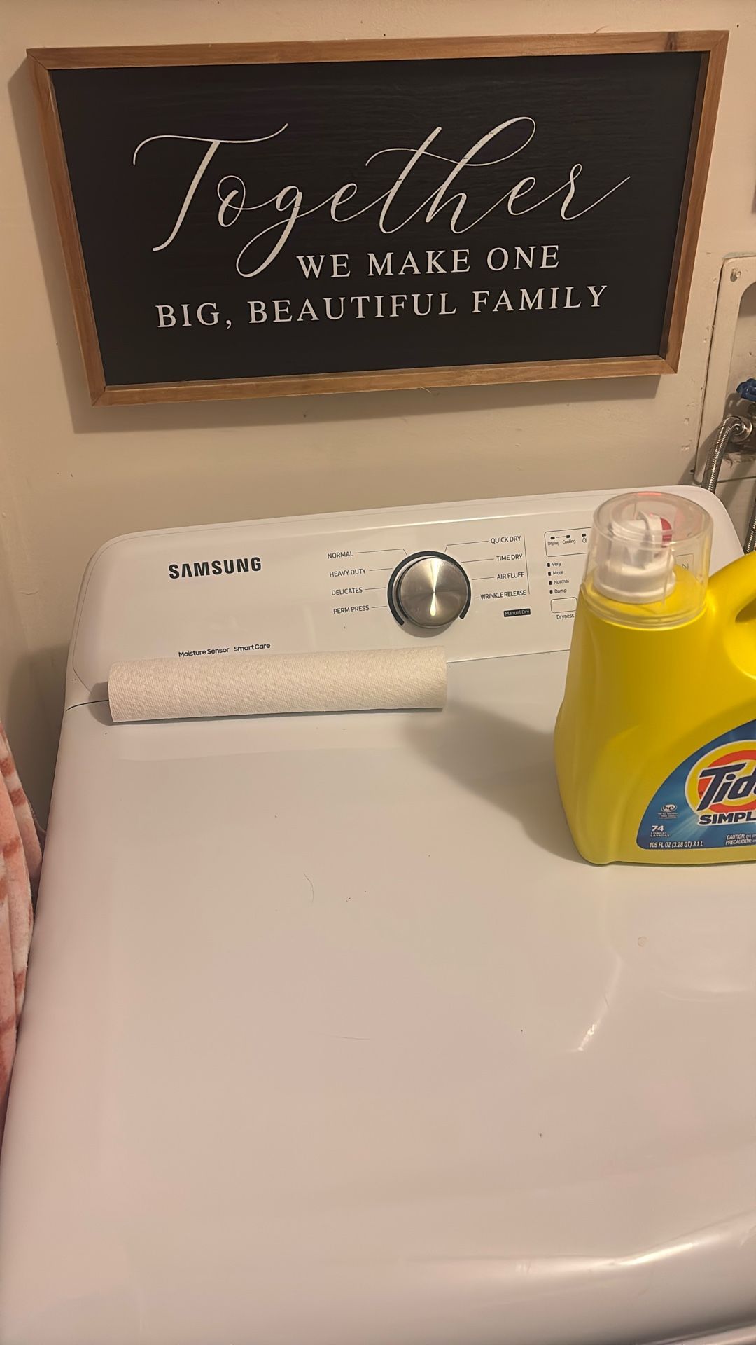 Samsung Dryer 