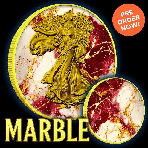 2024 Silver Eagle Marble w/ Gold Gild Edition 1oz .999 Silver Coin