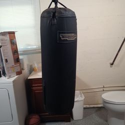 Heavy Body Bag, punching bag, $50