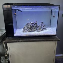 Fluval Tank Saltwater everything inside Corcel