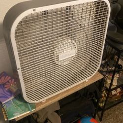 20 In Box Fan 