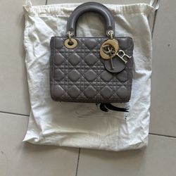 Dior Bag Gray