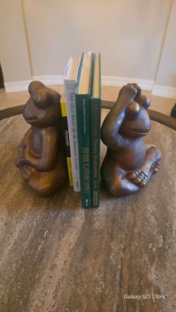 Frog bookends