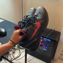 kobe 6 italian camo size 11