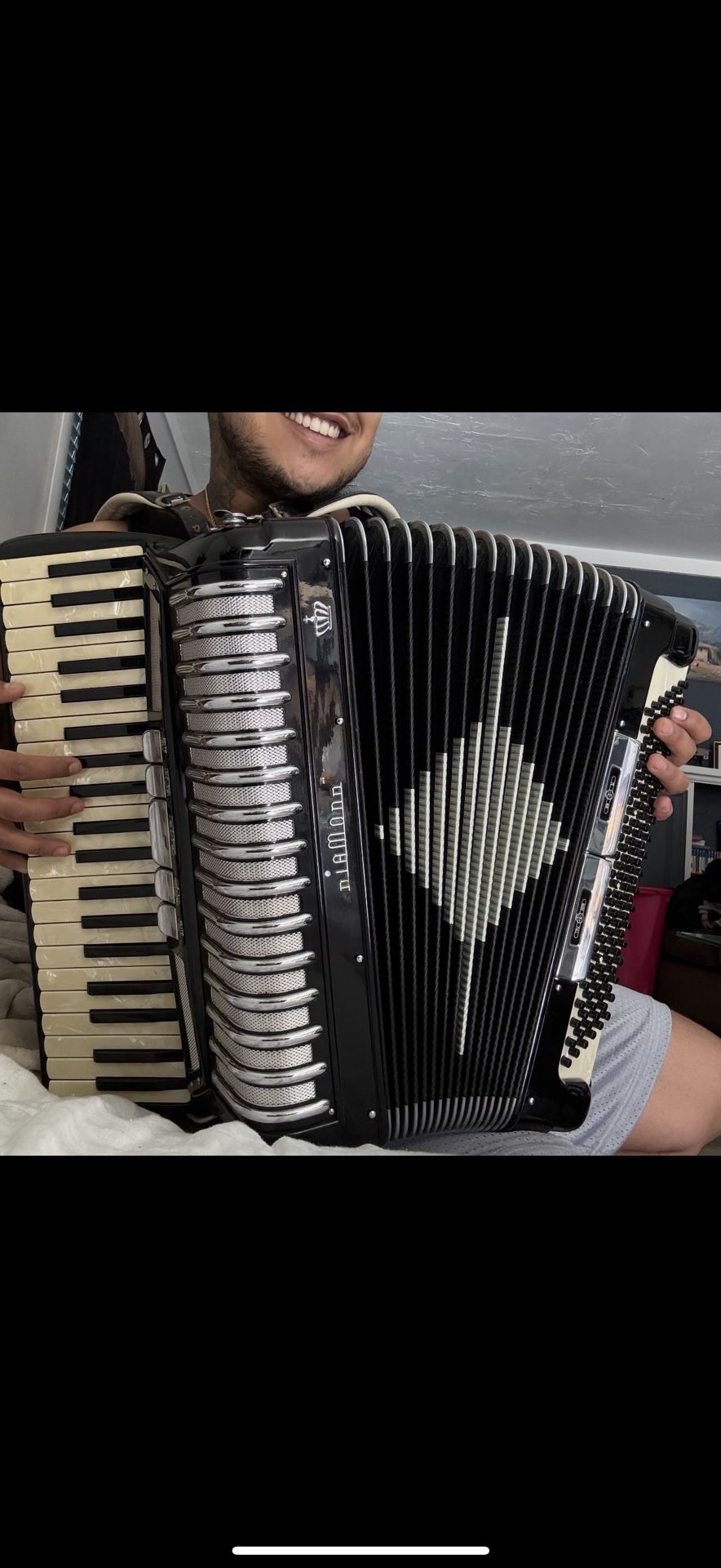 Accordion Professional