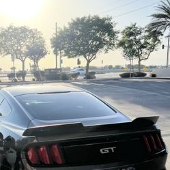 Mustang 