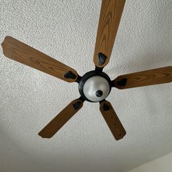 Ceiling Fans — Demo On Tuesday Come Grab It