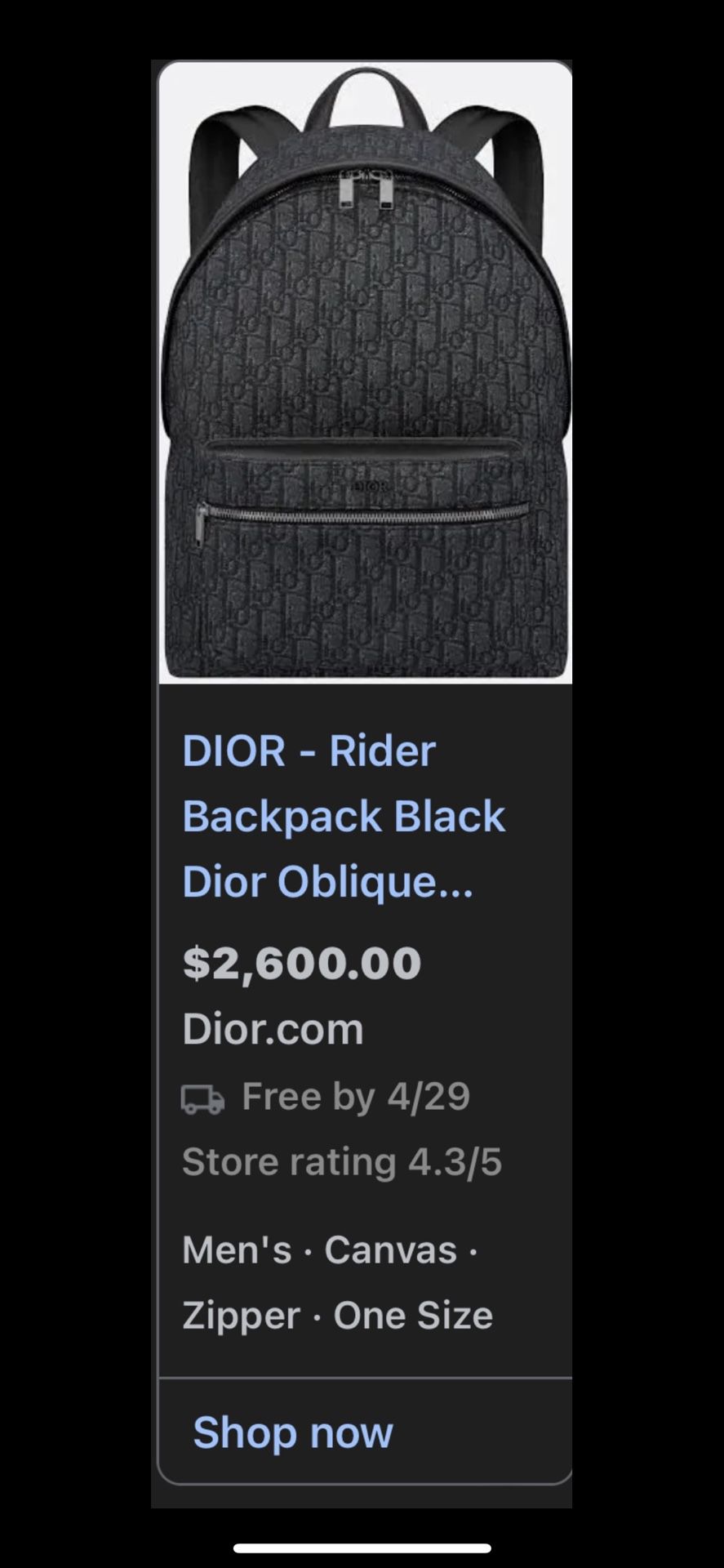dior backpack 