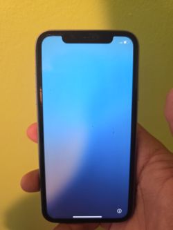 Purple Iphone 11